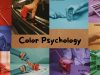 The Everyday Palette: How Colors Around You Shape Your Emotions and Choices Color Psychology