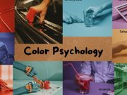 The Everyday Palette: How Colors Around You Shape Your Emotions and Choices Color Psychology