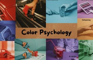 The Everyday Palette: How Colors Around You Shape Your Emotions and Choices Color Psychology