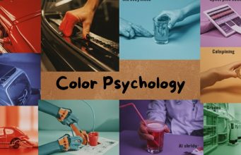The Everyday Palette: How Colors Around You Shape Your Emotions and Choices Color Psychology