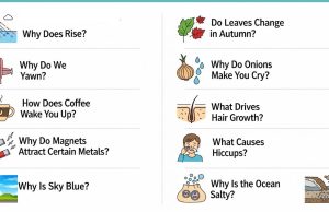 The Science Behind Everyday Phenomena: 10 Common Questions Explained Everyday Phenomena