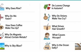The Science Behind Everyday Phenomena: 10 Common Questions Explained Everyday Phenomena