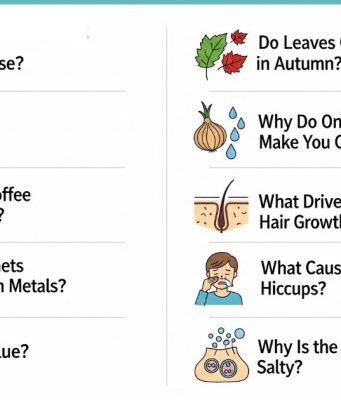 The Science Behind Everyday Phenomena: 10 Common Questions Explained Everyday Phenomena