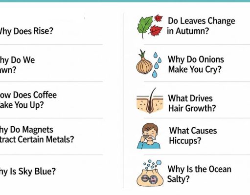 The Science Behind Everyday Phenomena: 10 Common Questions Explained Everyday Phenomena