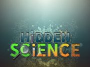 The Hidden Science in Everyday Life: 12 Amazing Examples